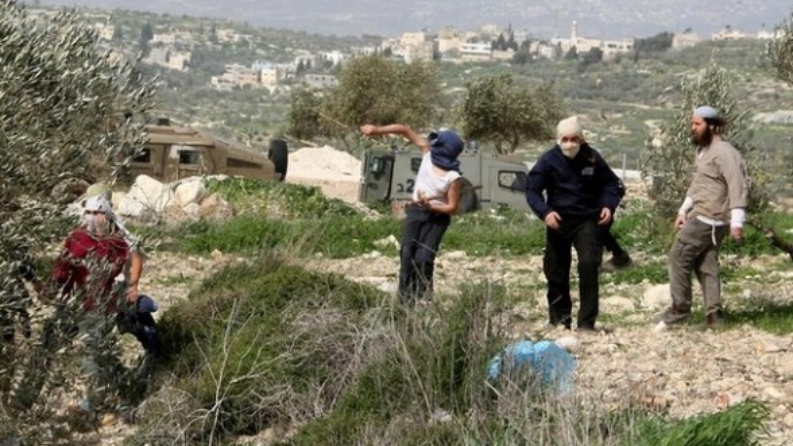 لليوم الـ3.. مستوطنون يعتدون على المزارعين في ديراستيا