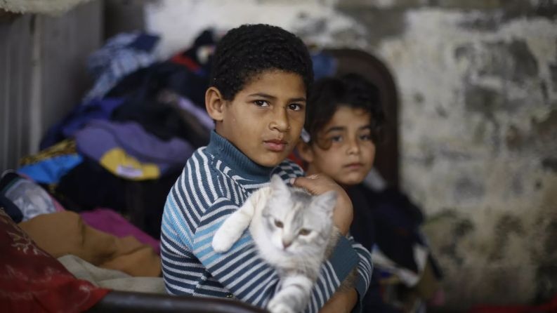 "الطفل العالمي": الاحتلال اعتقل 1630 طفلا من الضفة والعشرات من غزة منذ 7 أكتوبر