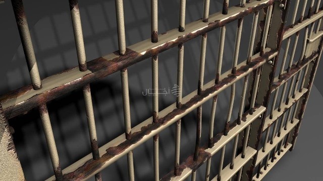 الاعتداء بالضرب على أسيرين مضربين بـ