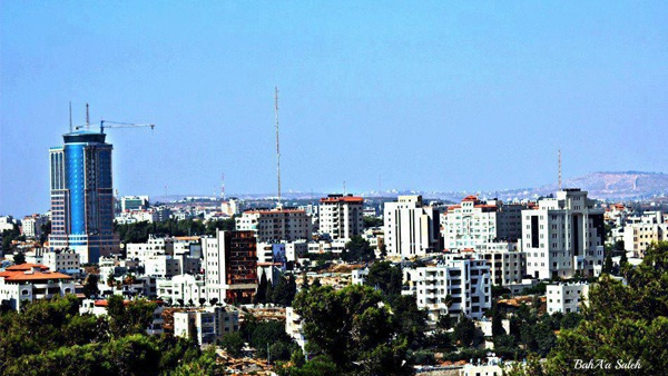 دراسة تكشف عن زيادة في عدد المنظمات الاهلية