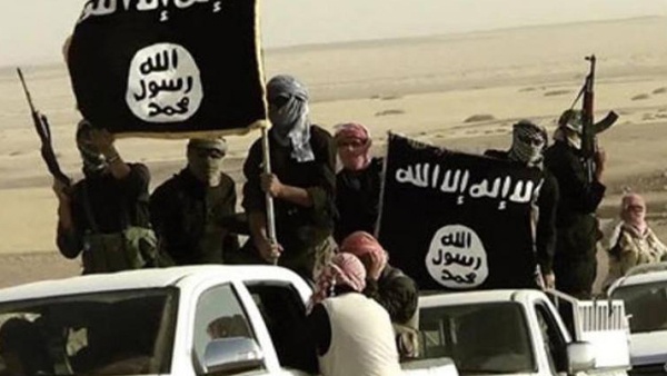 جماعة انصار بيت المقدس تبايع داعش