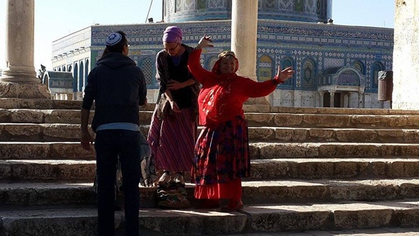 مستوطنون يقتحمون الأقصى مجددا