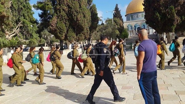 80 مجندة يقتحمن المسجد الأقصى