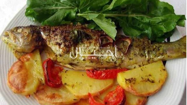 ما علاقة السمك بحاسة السمع؟