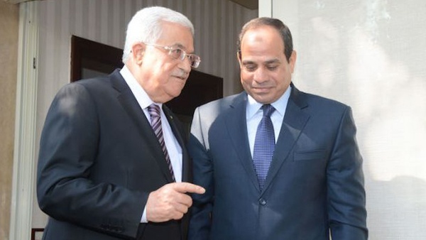 الرئيس يبحث الأوضاع السياسية مع المرزوقي والسيسي