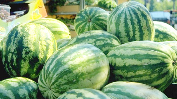 ضبط 4 أطنان من بطيخ المستوطنات بنابلس