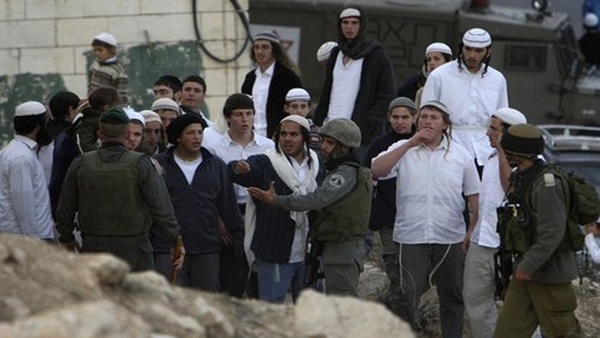 إحصائية: اعداد المستوطنين ارتفعت 32٪ في 10 أعوام