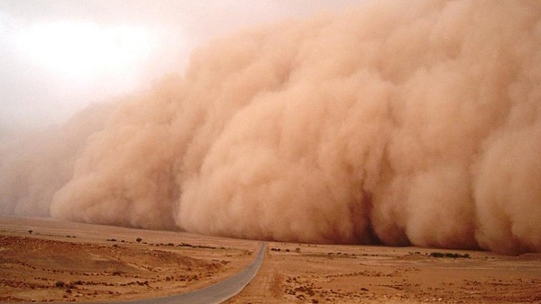 بالفيديو.. شاهد لحظة دخول العاصفة الرملية السعودية