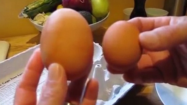 بالفيديو.. رجل يكسر بيضة ويتفاجأ بآخرى