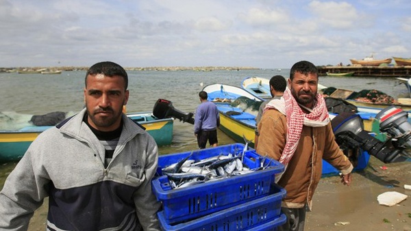 95% من صيادي غزة يعتمدون على المساعدات