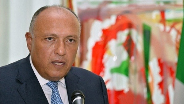 شكري: بزوغ القوة العربية خلال أشهر