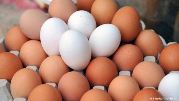 ما الفرق بين البيض البني والبيض الأبيض؟