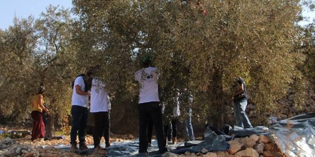 أبو ثائر يعيد للتراب أنفاسه في نحالين