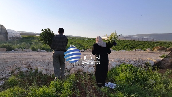 بني عودة يزرع الورد للعام الخامس في أرضه بالبقيعة