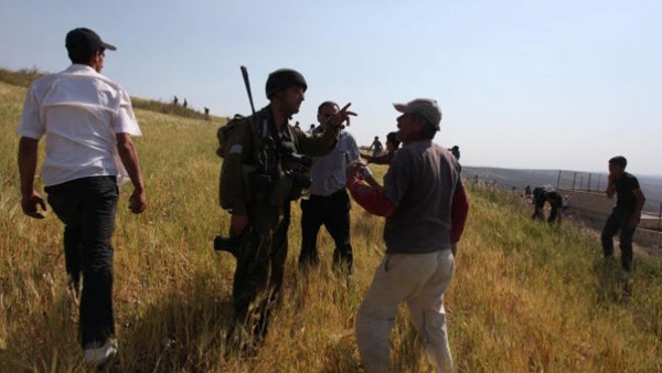 الاحتلال يمنع الأهالي من قطف ثمار الزيتون شرق قلقيلية