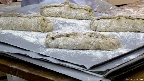 في فنلندا.. إنتاج خبز مصنوع من مسحوق الصراصير