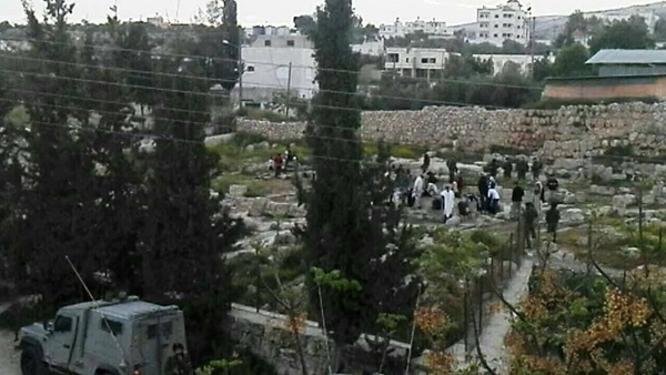 الخليل: مستوطنون يؤدون طقوساً تلمودية في قصر المورق
