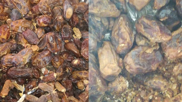ضبط 700 كغم تمور فاسدة بجنين