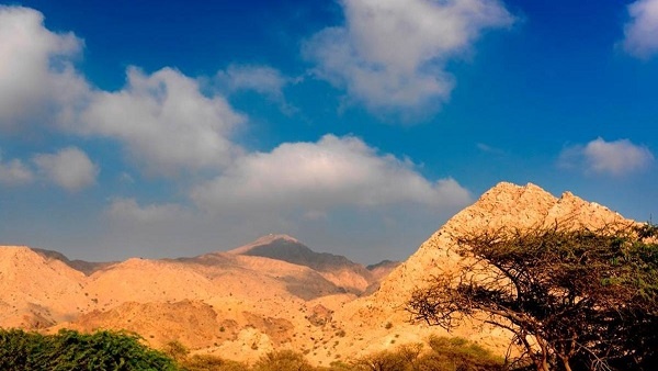 إحباط محاولة انتحار "فيسبوكية" بالإمارات