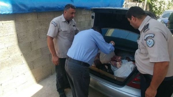 بالصور| إتلاف 170 كغم كبدة وطحال فاسدة في طولكرم