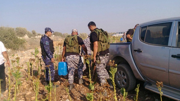 ضبط مواد كيماوية لتصنيع الدخان العربي والمعسل بجنين