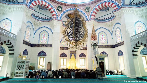 ألمانيا: العثور على رأس خنزير في موقع بناء مسجد!