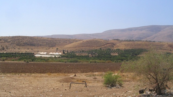 بطريركية القدس للاتين ترفض استيلاء الاحتلال على أراضيها في الأغوار