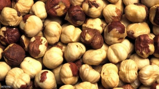 البندق يحميك من الزهايمر