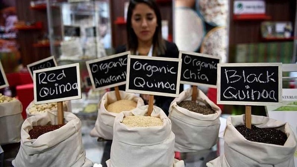 حبوب الكينوا تعرض رئيس الحكومة الماليزية للسخرية والانتقاد