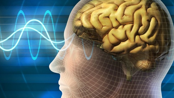 الدماغ يتوقف عن إنتاج خلايا الذاكرة في سن 13