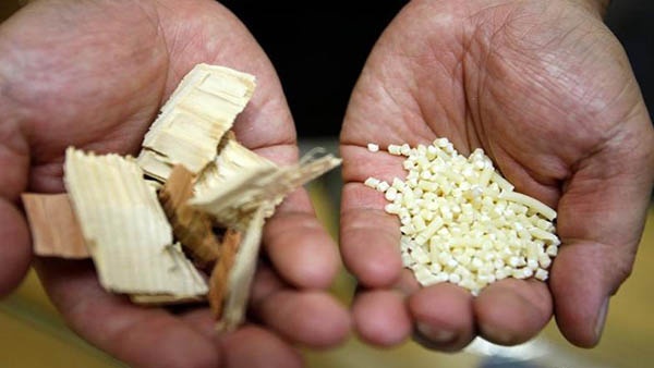 علماء يدرسون إمكانية تصنيع السيارات من لب الخشب