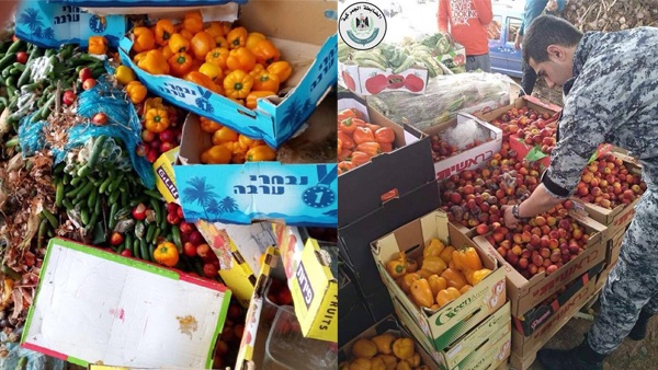 إتلاف خضروات وفواكه غير صالحة للاستهلاك في بيت لحم