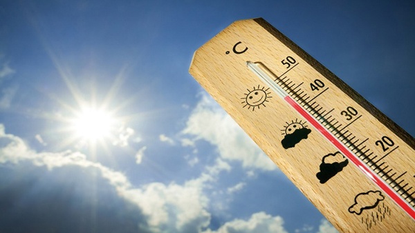 لماذا يقل الذكاء في الحر؟