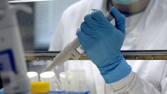 باحثون مصريون يبتكرون استراتيجية جديدة لعلاج سرطانات الدماغ