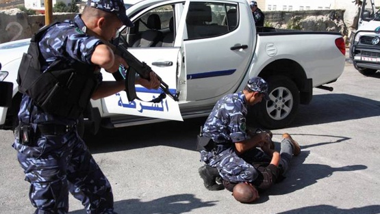 ضبط قطع أثرية بحوزة 3 أشخاص من الخليل