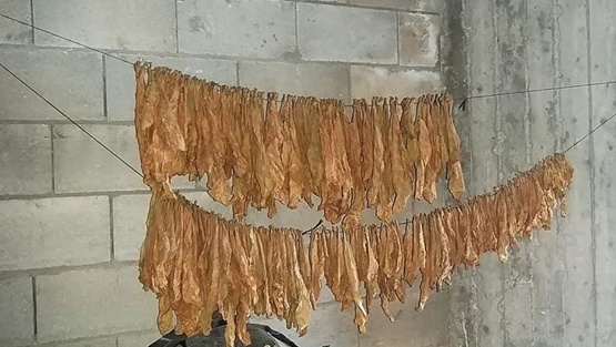 ضبط معمل سجائر ومعسل في الخليل