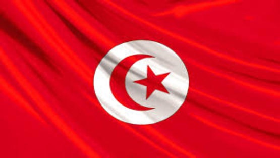 تونس: تكليف الحبيب الجملي لتشكيل الحكومة