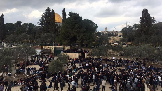 مجلس أوقاف القدس الجديد.. تنسيق فلسطيني أردني عالي