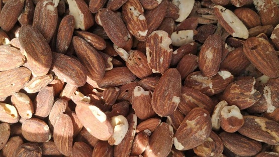 ضبط 5 أطنان لوز مقشر فاسدة بجنين