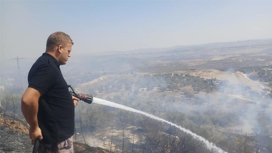حريق يلتهم 300 شجرة زيتون قرب الطيبة غرب جنين