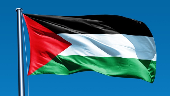 فلسطين فازت بجائزة في قطاع المجتمع المدني