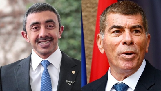 وزيرا خارجية إسرائيل والإمارات يجتمعان غداً في ألمانيا