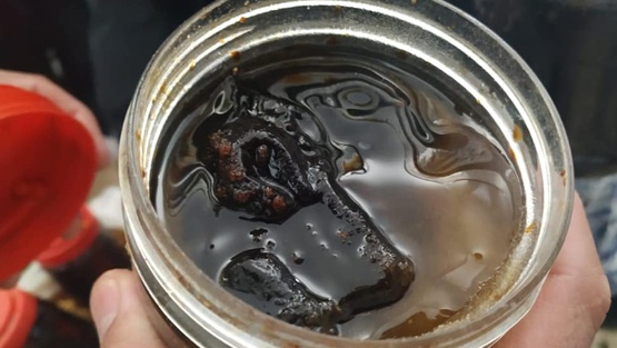 ضبط مواد غذائية فاسدة في جنين