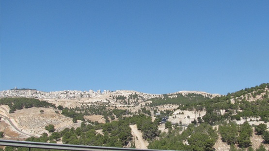 إفشال محاولة تسريب 11 ألف دونم على طريق القدس - أريحا