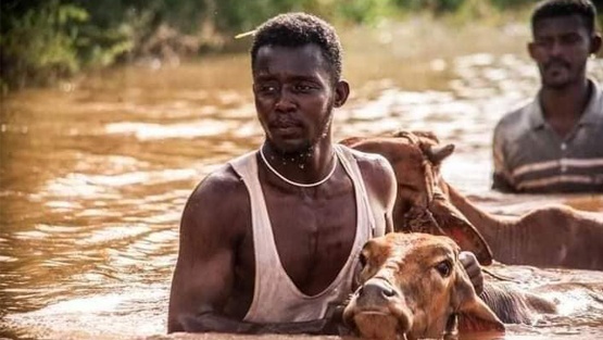100 قتيل وانهيار عشرات آلاف المنازل بفيضانات السودان