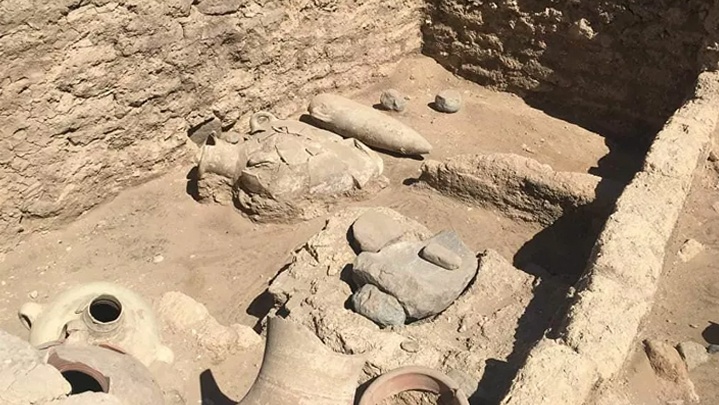 صور: العثور في مصر على سمكة مجففة منذ آلاف السنين