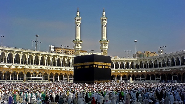 إدعيس: حجاجنا بخير ويستعدون للعودة إلى الوطن