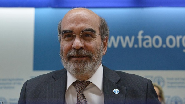 مدير منظمة الأغذية: توقعات باستمرار هبوط أسعار الغذاء